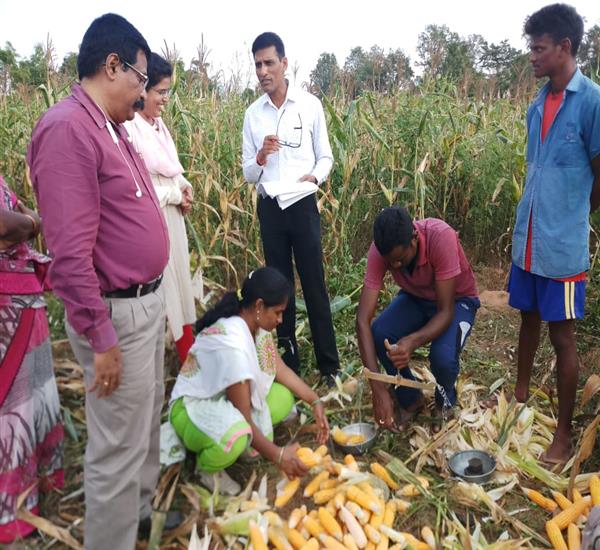 Jayashankar District                                                                                                                                                                                                                                       - Crop Cutting Expts.,                                                                                                                                   - at tadvai                                                                                                                                                                                                                                                       - dt.09/02/2019          